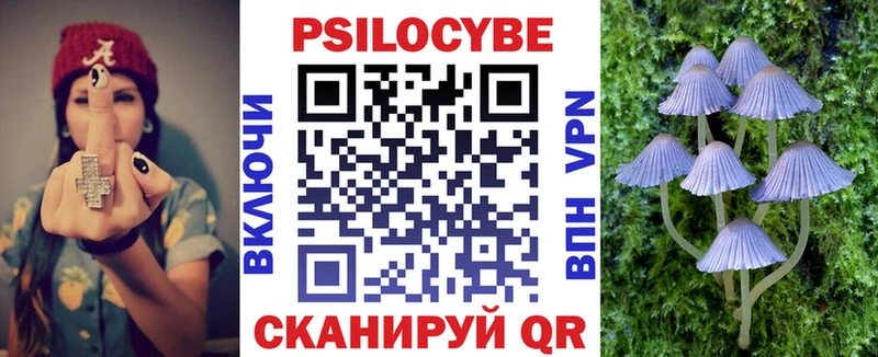 купить  цена  Отрадное  Псилоцибиновые грибы Cubensis 